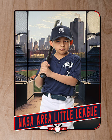 ALL_FILES_Coach_Pitch_Tigers_Sauceda_Jose_NAL12358_RETRO_