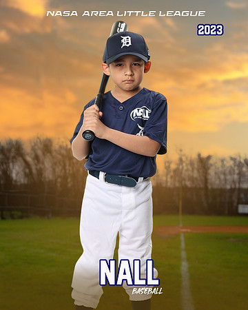ALL_FILES_Coach_Pitch_Tigers_Sauceda_Jose_NAL12358_SUNSET_