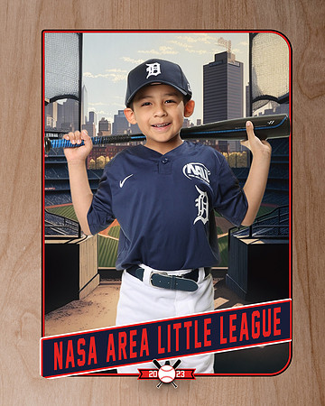 ALL_FILES_Coach_Pitch_Tigers_Sauceda_Jose_NAL12359_RETRO_