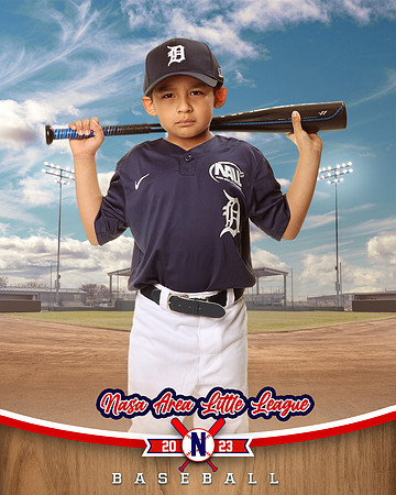 ALL_FILES_Coach_Pitch_Tigers_Sauceda_Jose_NAL12360_BALLPARK_