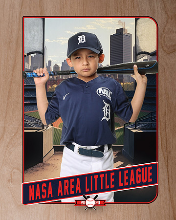 ALL_FILES_Coach_Pitch_Tigers_Sauceda_Jose_NAL12360_RETRO_