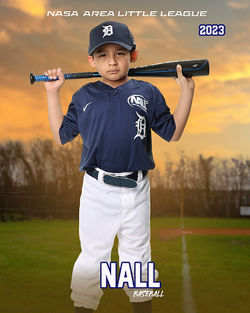 ALL_FILES_Coach_Pitch_Tigers_Sauceda_Jose_NAL12360_SUNSET_