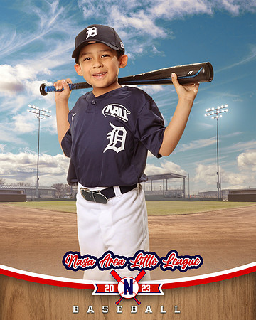 ALL_FILES_Coach_Pitch_Tigers_Sauceda_Jose_NAL12361_BALLPARK_