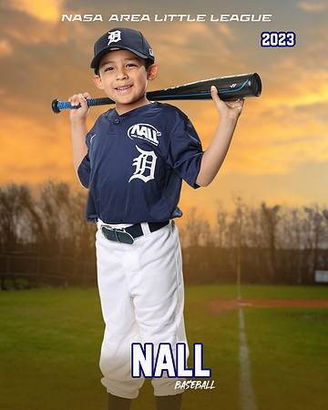 ALL_FILES_Coach_Pitch_Tigers_Sauceda_Jose_NAL12361_SUNSET_
