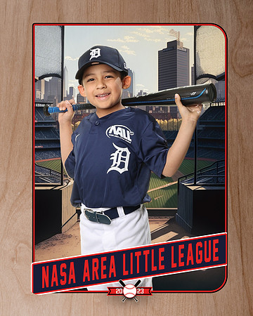 ALL_FILES_Coach_Pitch_Tigers_Sauceda_Jose_NAL12361_RETRO_