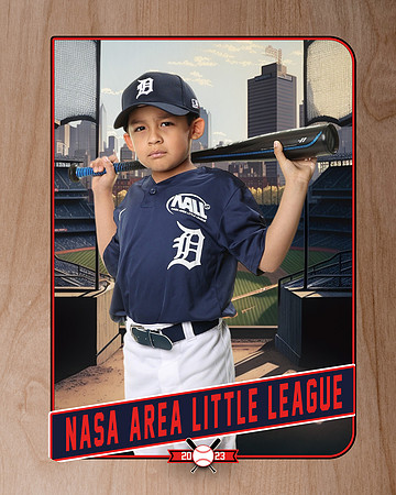 ALL_FILES_Coach_Pitch_Tigers_Sauceda_Jose_NAL12362_RETRO_
