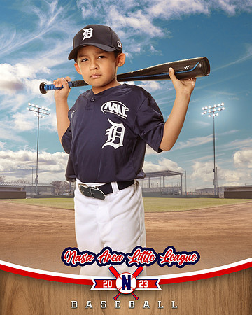 ALL_FILES_Coach_Pitch_Tigers_Sauceda_Jose_NAL12362_BALLPARK_