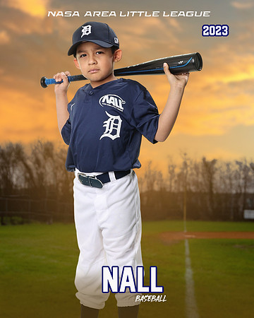 ALL_FILES_Coach_Pitch_Tigers_Sauceda_Jose_NAL12362_SUNSET_