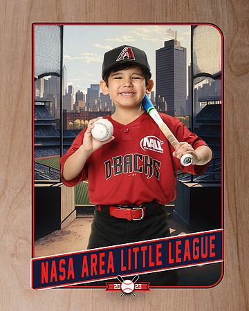 ALL_FILES_Machine_Pitch_D'Backs_MATA_Milo_NAL12630_RETRO_