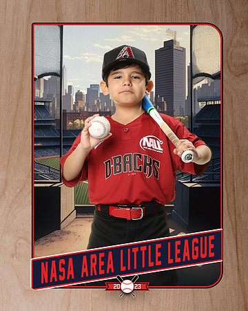 ALL_FILES_Machine_Pitch_D'Backs_MATA_Milo_NAL12631_RETRO_