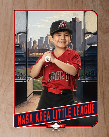 ALL_FILES_Machine_Pitch_D'Backs_MATA_Milo_NAL12632_RETRO_