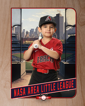 ALL_FILES_Machine_Pitch_D'Backs_MATA_Milo_NAL12633_RETRO_