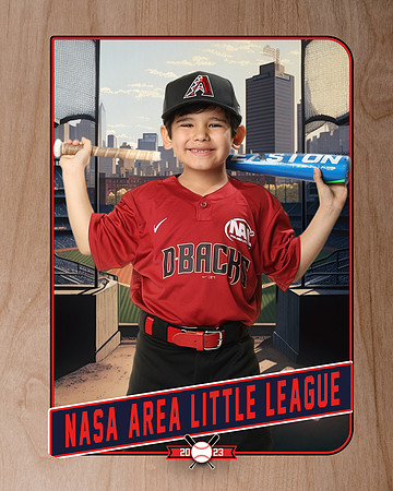 ALL_FILES_Machine_Pitch_D'Backs_MATA_Milo_NAL12634_RETRO_