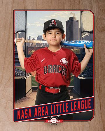 ALL_FILES_Machine_Pitch_D'Backs_MATA_Milo_NAL12635_RETRO_