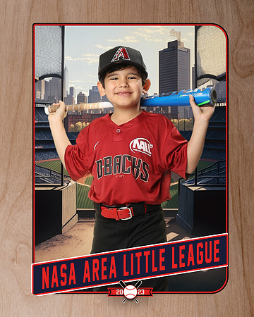 ALL_FILES_Machine_Pitch_D'Backs_MATA_Milo_NAL12636_RETRO_