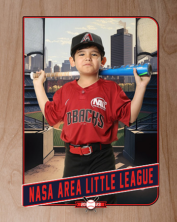 ALL_FILES_Machine_Pitch_D'Backs_MATA_Milo_NAL12637_RETRO_