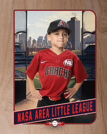 ALL_FILES_Machine_Pitch_D'Backs_Rodriguez Madrigal_Raymond_NAL12641_RETRO_