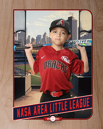 ALL_FILES_Machine_Pitch_D'Backs_Rodriguez Madrigal_Raymond_NAL12648_RETRO_
