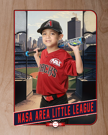 ALL_FILES_Machine_Pitch_D'Backs_Rodriguez Madrigal_Raymond_NAL12649_RETRO_