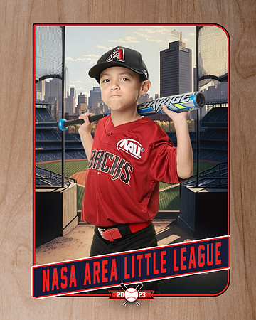 ALL_FILES_Machine_Pitch_D'Backs_Rodriguez Madrigal_Raymond_NAL12650_RETRO_