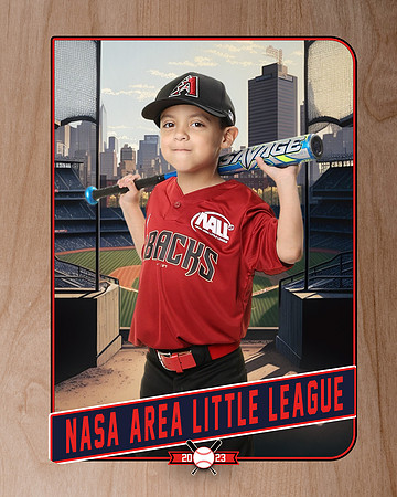 ALL_FILES_Machine_Pitch_D'Backs_Rodriguez Madrigal_Raymond_NAL12651_RETRO_