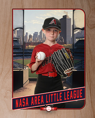 ALL_FILES_Machine_Pitch_D'Backs_Thompson_Jude_NAL12577_RETRO_