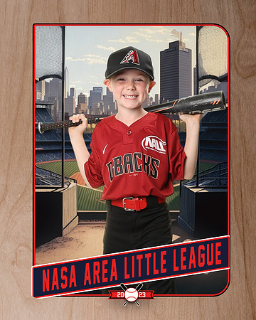 ALL_FILES_Machine_Pitch_D'Backs_Thompson_Jude_NAL12584_RETRO_