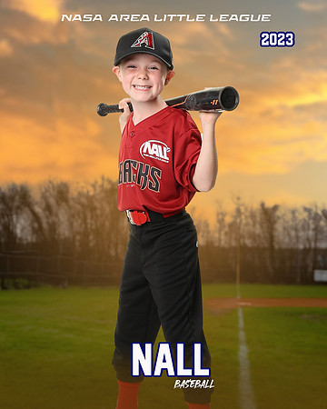 ALL_FILES_Machine_Pitch_D'Backs_Thompson_Jude_NAL12586_SUNSET_