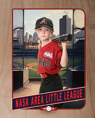ALL_FILES_Machine_Pitch_D'Backs_Thompson_Jude_NAL12587_RETRO_