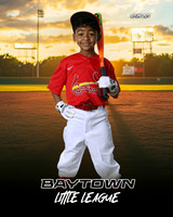 M3_CARDINALS_Hamilton_William_BAY28062_SUNSHINE