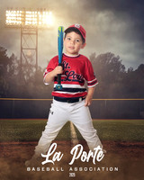 4U_Foal_Cardinals_Totten_William_LP022581_FIELDLIGHTS