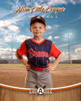 ALV10039_BALLPARK_