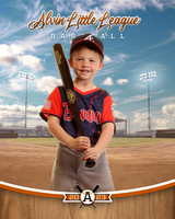 ALV10040_BALLPARK_