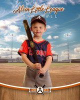 ALV10041_BALLPARK_