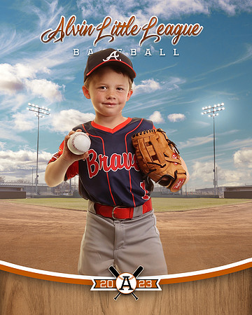 ALV10044_BALLPARK_