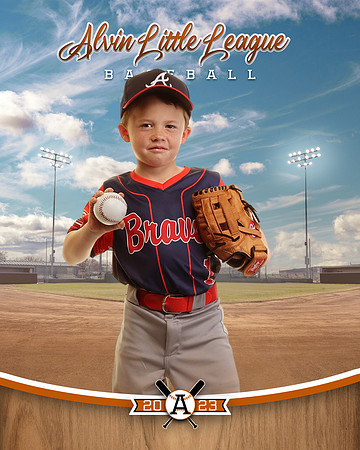 ALV10045_BALLPARK_