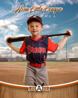 ALV10042_BALLPARK_