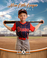 ALV10043_BALLPARK_