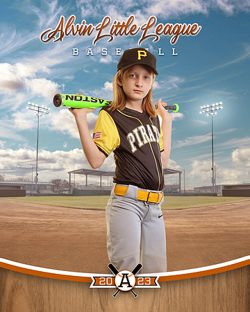 ALV10651_BALLPARK_