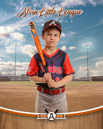 ALV19839_BALLPARK_