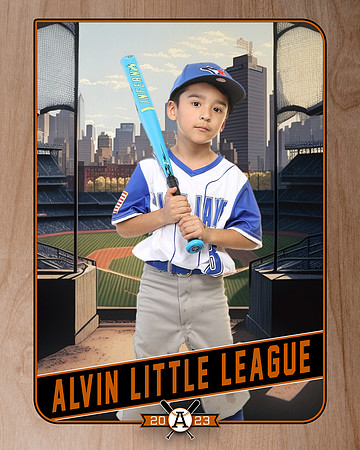 Blue Jays 6U_Quiroz_Javier__SF115538_RETRO_