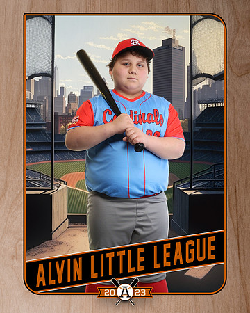 Cardinals 10U_Cisneros_Steel__ALV10565_RETRO_
