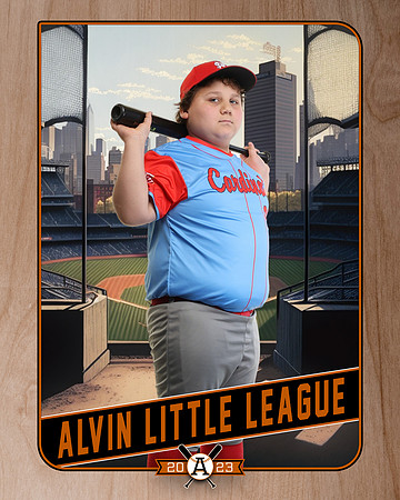 Cardinals 10U_Cisneros_Steel__ALV10566_RETRO_