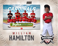 M3_CARDINALS_Hamilton_William_BAY28060_MM