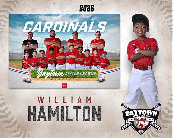 M3_CARDINALS_Hamilton_William_BAY28060_MM