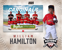 M3_CARDINALS_Hamilton_William_BAY28061_MM