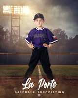 6U_Shetland_Rockies_Kime_Colt_LP023018_FIELDLIGHTS