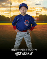 M3_ Cubs_Arana Mendoza_NOAH_BAY12257_SUNSHINE
