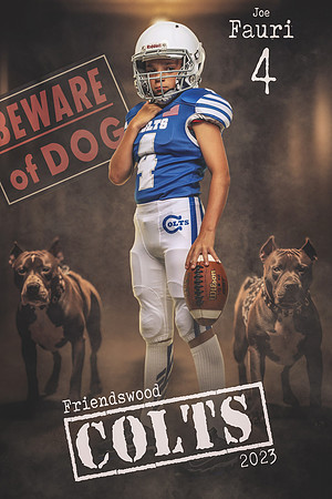 SR_Fauri_Joe_LCL10011_BANNER_