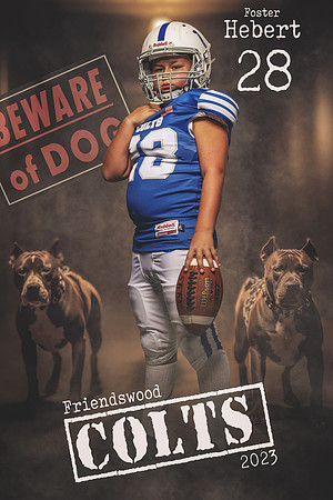 SOPH_Hebert_Foster_LCL29870_BANNER_